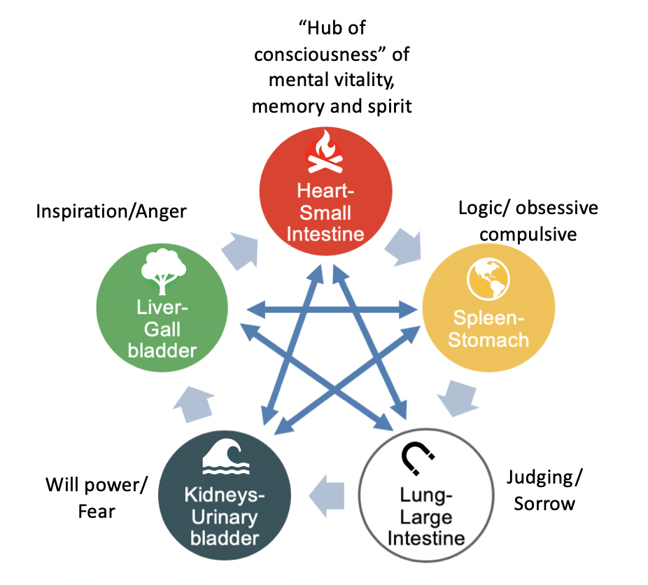 5 phases